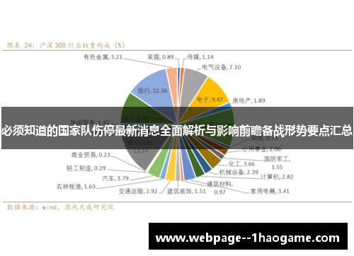 必须知道的国家队伤停最新消息全面解析与影响前瞻备战形势要点汇总
