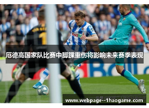 厄德高国家队比赛中脚踝重伤将影响未来赛季表现